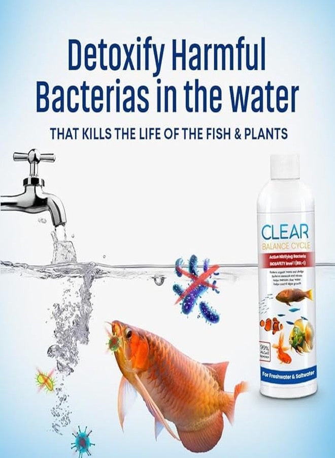 Scentora Automatic Fish Tank Cleaner Liquid Cloudy Water Remover for Crystal Clear Aquarium Water| Cleaner Balance Cycle for Fish Tank | Algae Remover (800ml) (Pack of 4) - Image 3